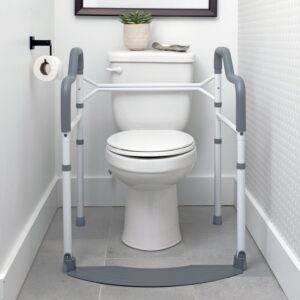 Wonder Toilet Safety Rail
